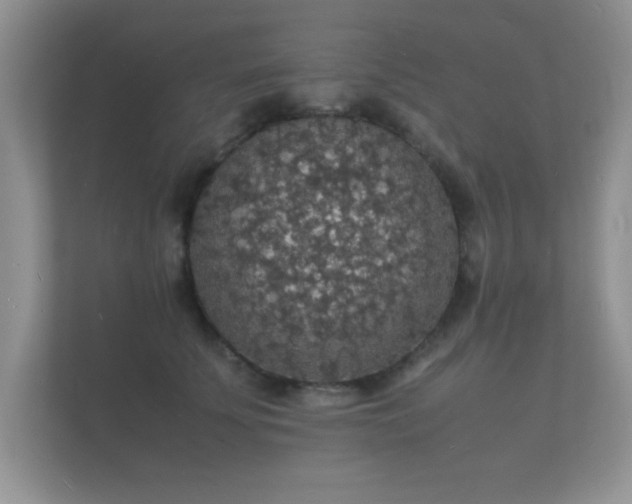X0000112150707200908141214