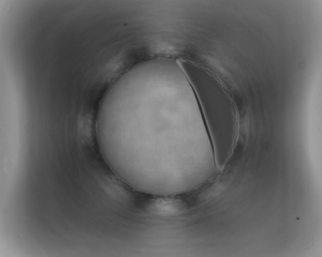 X0000112150708200908141214