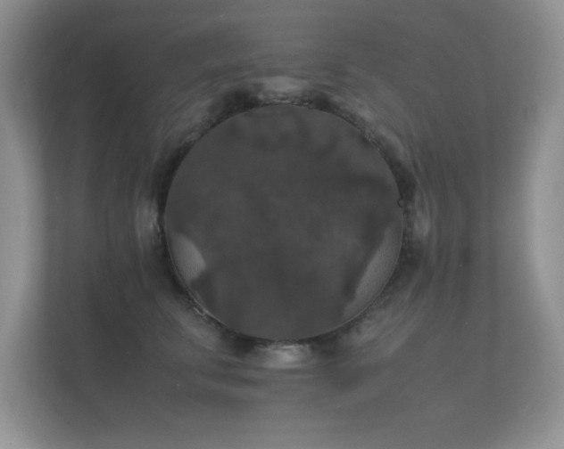 X0000112150711200908141214