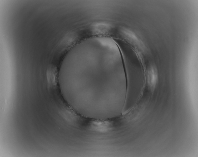 X0000112150712200908141214