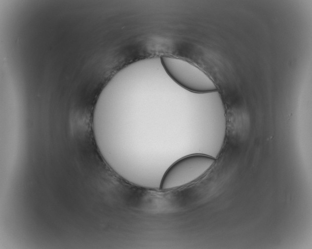 X0000112150713200908141214