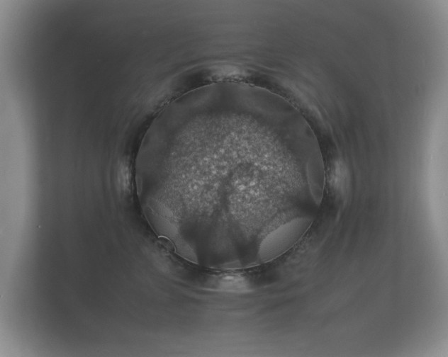 X0000112150715200908141214