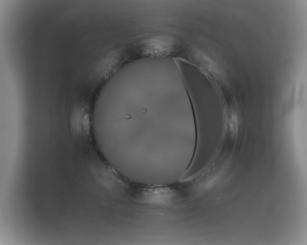 X0000112150716200908141214