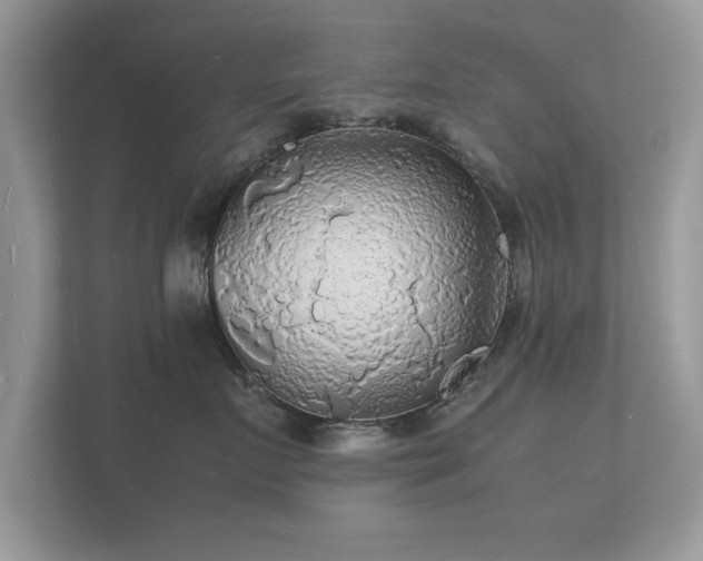 X0000112150719200908141214