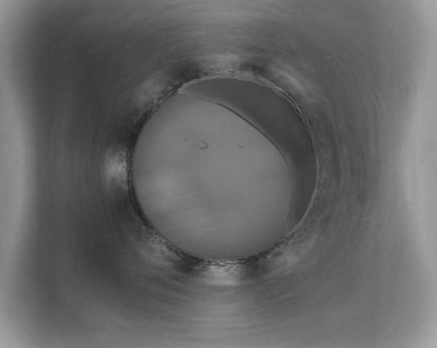 X0000112150720200908141214