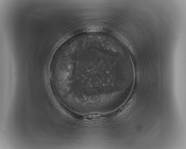 X0000112150721200908141214
