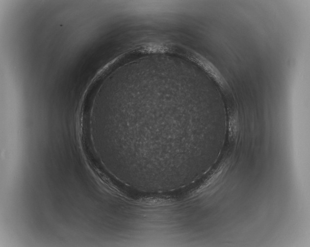 X0000112150722200908141214