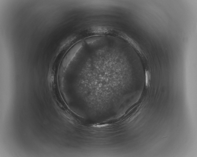 X0000112150723200908141214