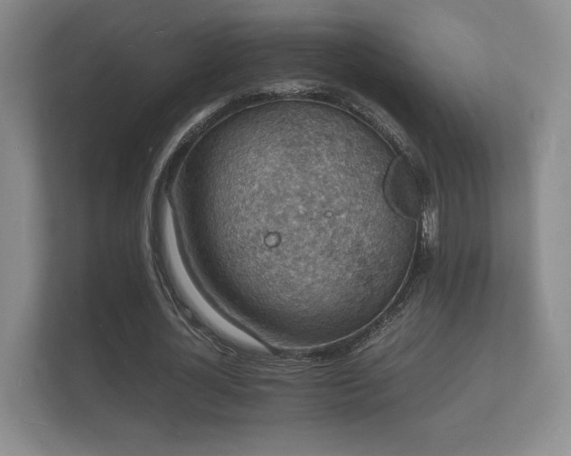 X0000112150724200908141214