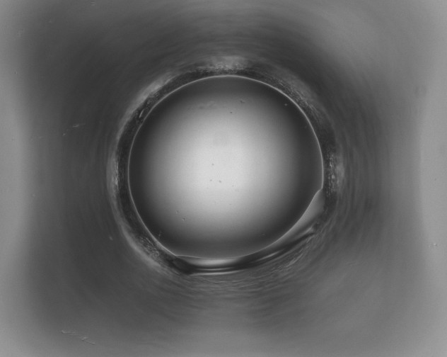 X0000112150726200908141214