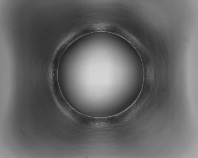 X0000112150730200908141214