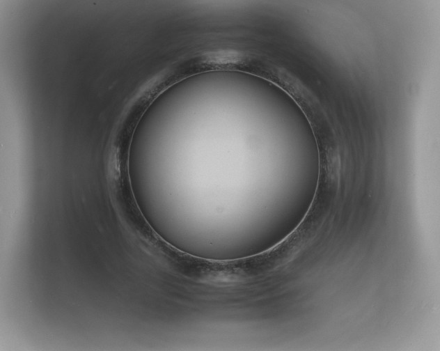 X0000112150731200908141214