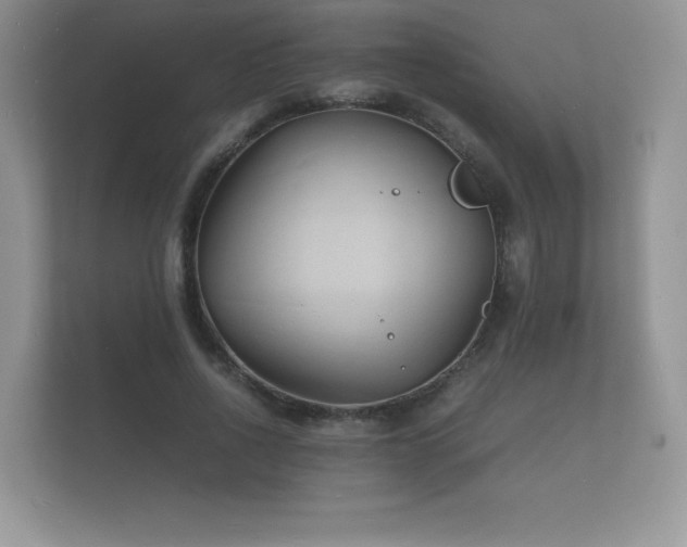 X0000112150734200908141214