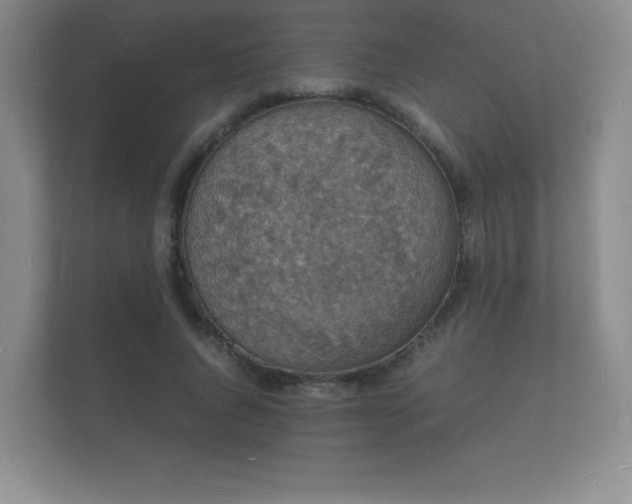 X0000112150736200908141214