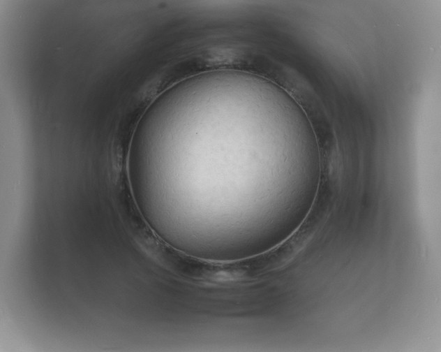 X0000112150737200908141214
