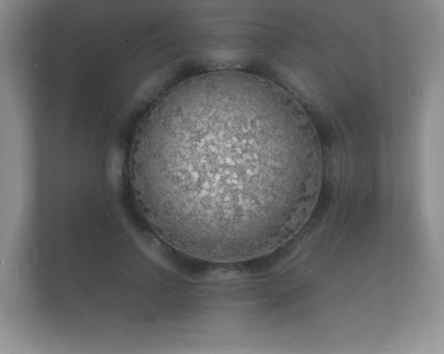X0000112150742200908141214