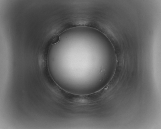 X0000112150743200908141214