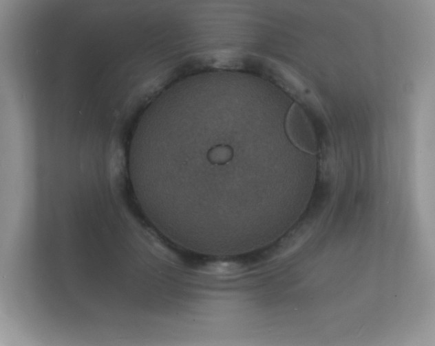 X0000112150748200908141214