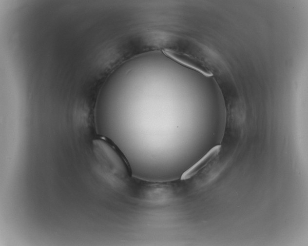 X0000112150750200908141214