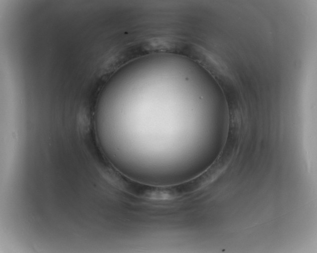 X0000112150751200908141214
