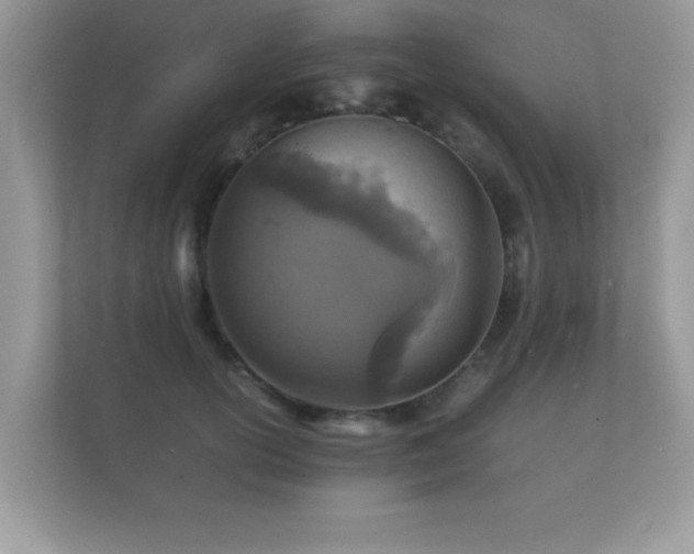 X0000112150754200908141214
