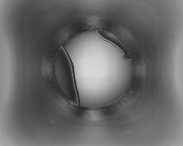 X0000112150756200908141214
