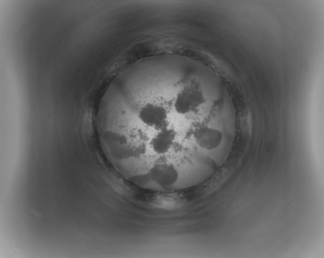 X0000112150757200908141214