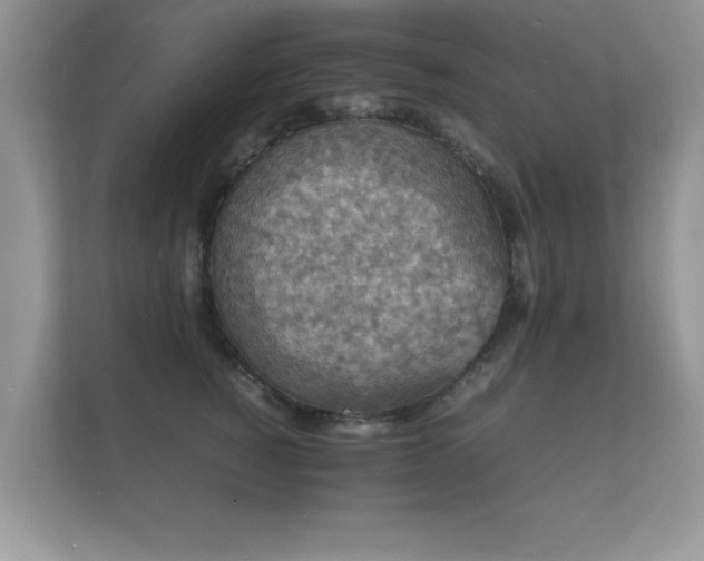 X0000112150760200908141214