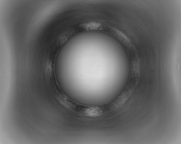 X0000112150761200908141214