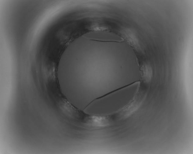 X0000112150762200908141214