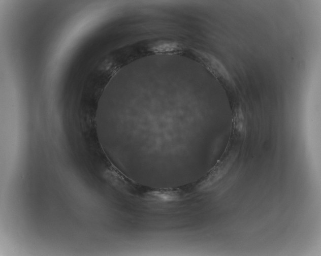 X0000112150763200908141214