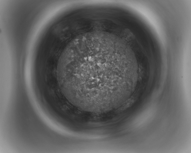 X0000112150765200908141214