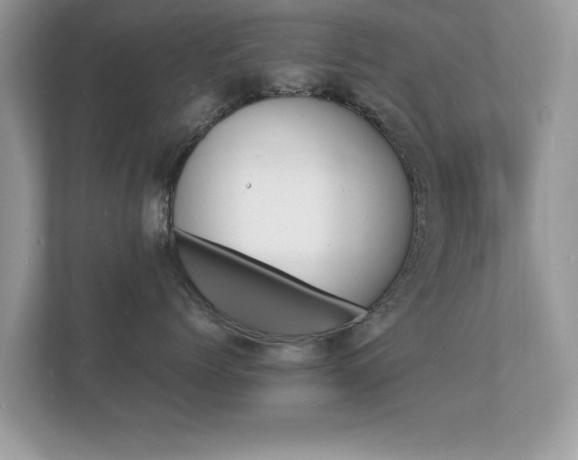 X0000112150768200908141214
