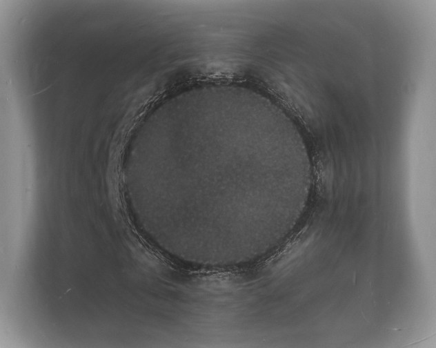 X0000112150769200908141214