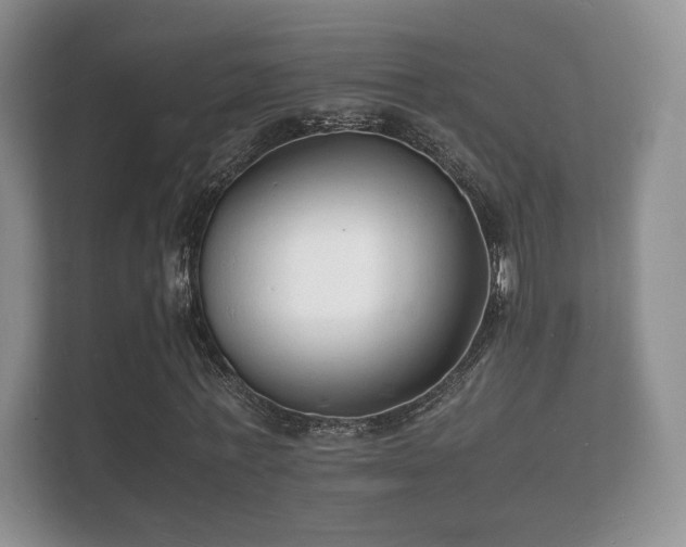 X0000112150771200908141214