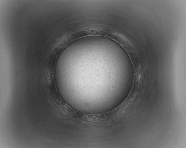 X0000112150774200908141214