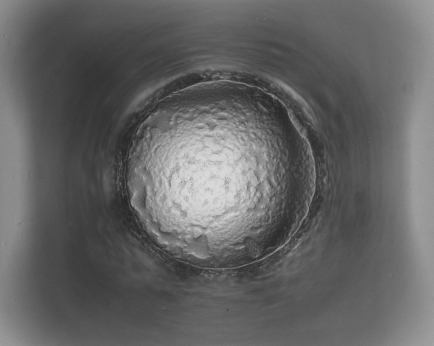 X0000112150775200908141214