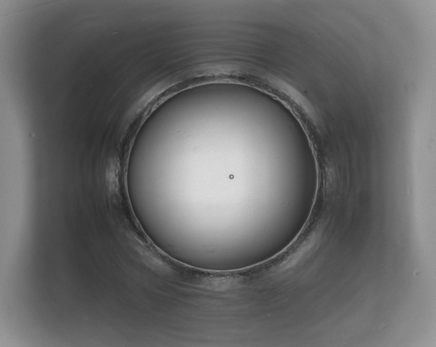 X0000112150778200908141214