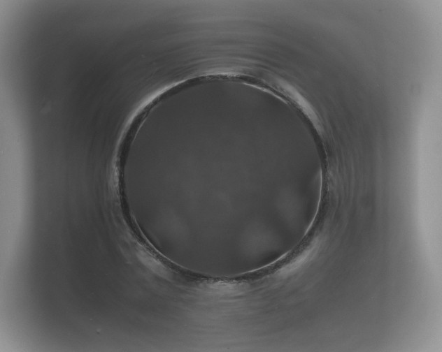 X0000112150779200908141214