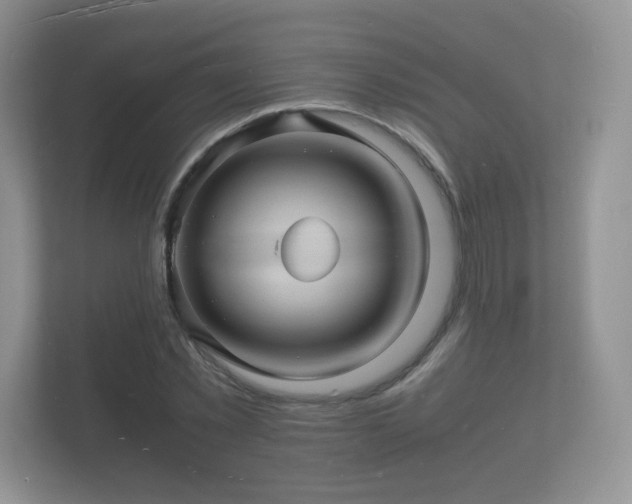 X0000112150781200908141214