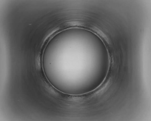 X0000112150782200908141214