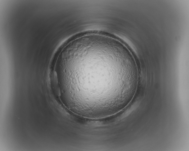 X0000112150783200908141214
