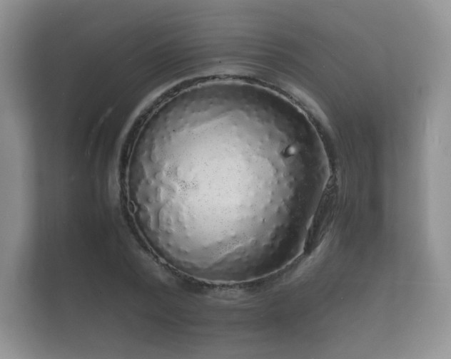 X0000112150784200908141213