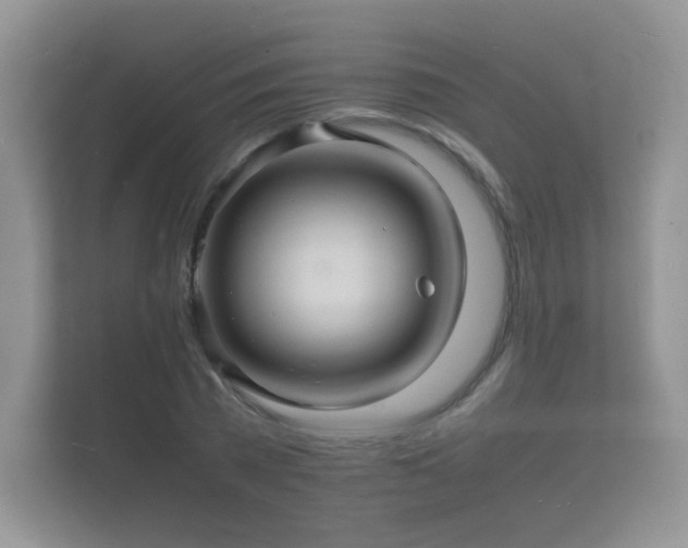 X0000112150785200908141213