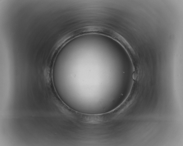 X0000112150786200908141213