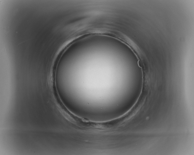 X0000112150787200908141213