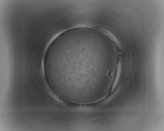 X0000112150788200908141213