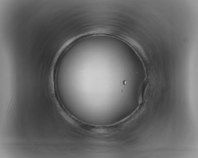 X0000112150792200908141213