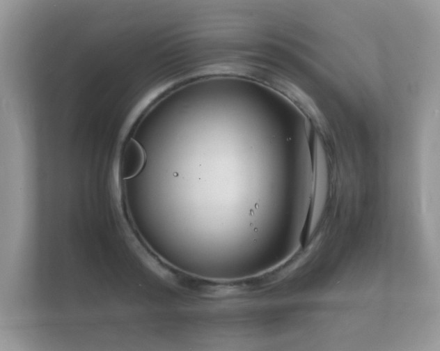X0000112150796200908141213