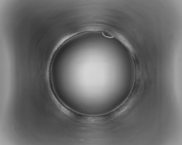 X0000112150803200908141213